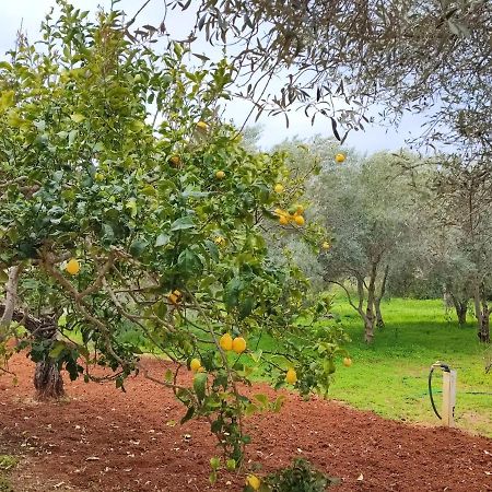 Casa Vacanze Da Nonna Mela Alghero Bagian luar foto